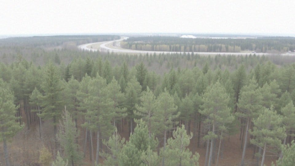 Jakie są wyzwania związane z członkostwem Polski w UE?