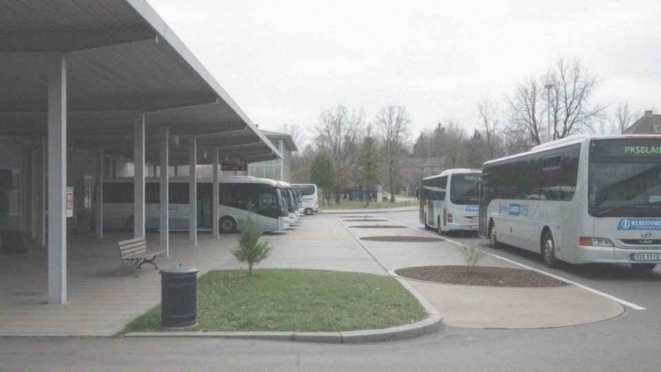 Jakie połączenia autobusowe oferuje Ciechocinek?