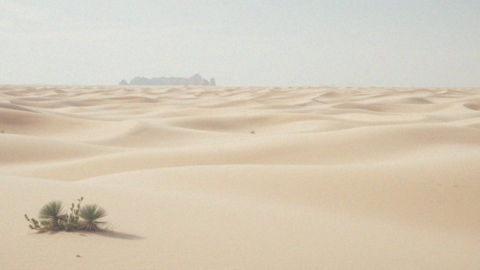 Na jakich terytoriach znajduje się Sahara?