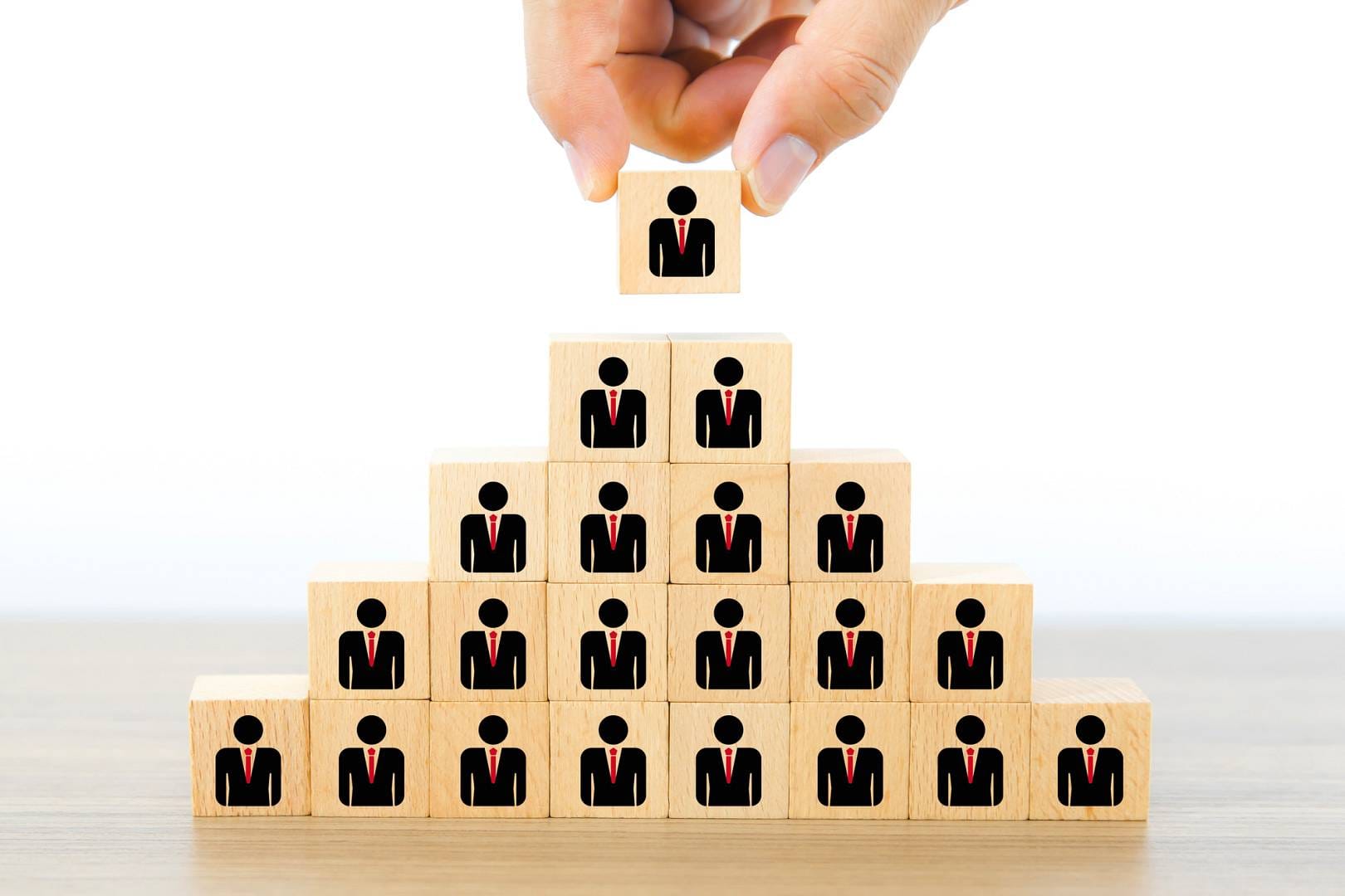 CV wzór - Ciekawe CV