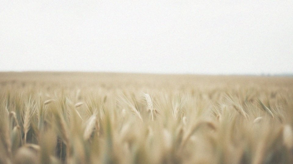 Kłujący ból podbrzusza w ciąży 2 trymestr – przyczyny i objawy