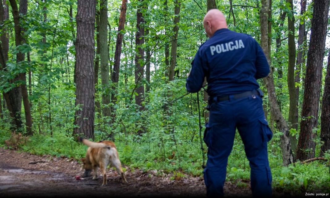 Wieczorny alarm w Tarnowie zakończony sukcesem – zaginiony odnaleziony