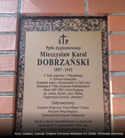 Mieczysław Dobrzański