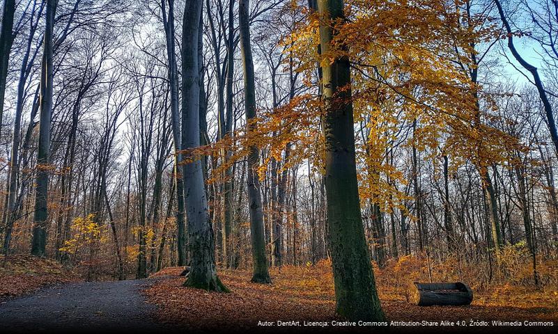 Park Niepodległości Miasta Tarnowa im. Romana Księcia Sanguszki powstańca 1831 roku – Sybiraka