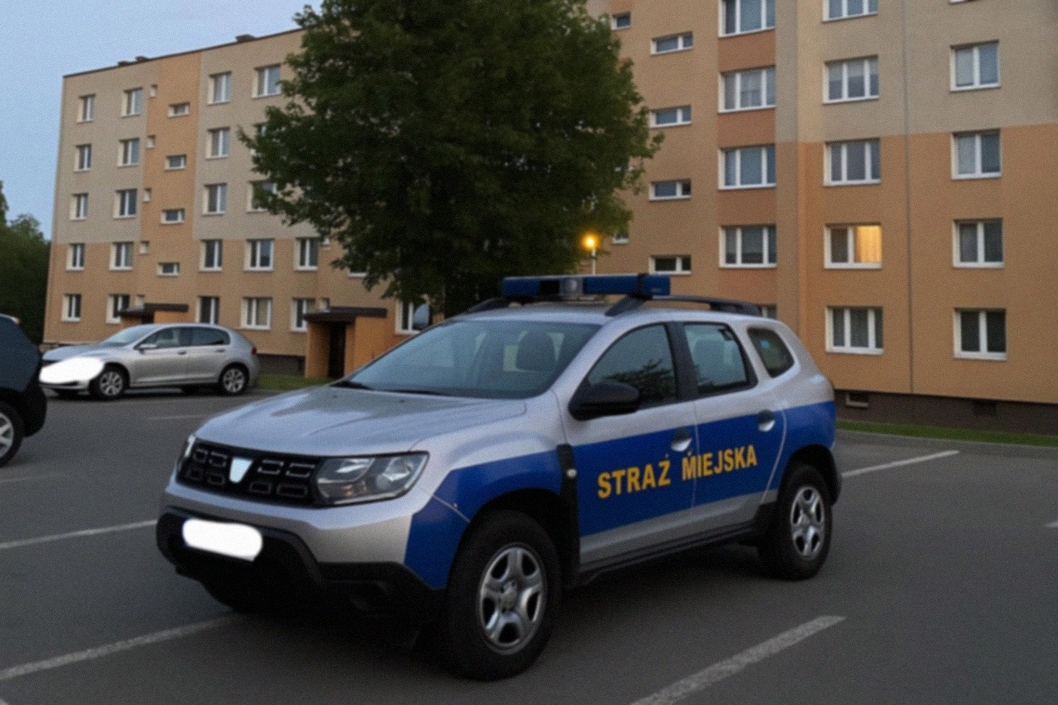 Interwencja Straży Miejskiej w Tarnowie dotycząca nielegalnego handlu