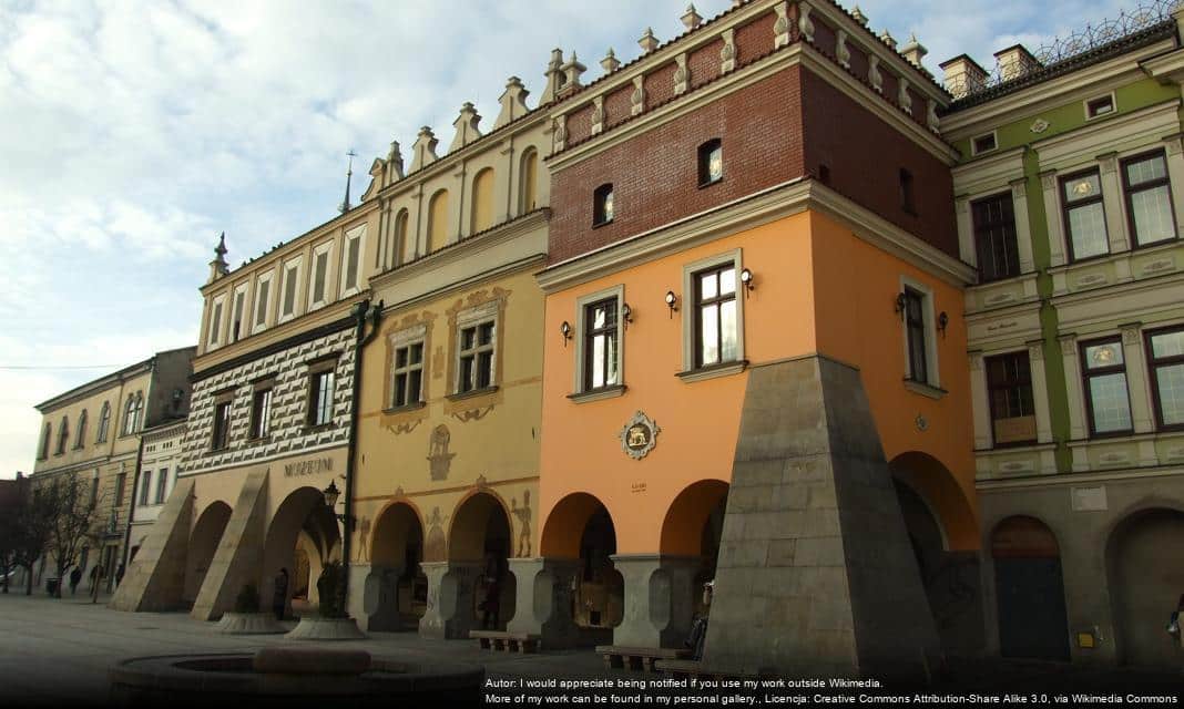 Wykład o jadalnych chwastach w Centrum Sztuki Mościce